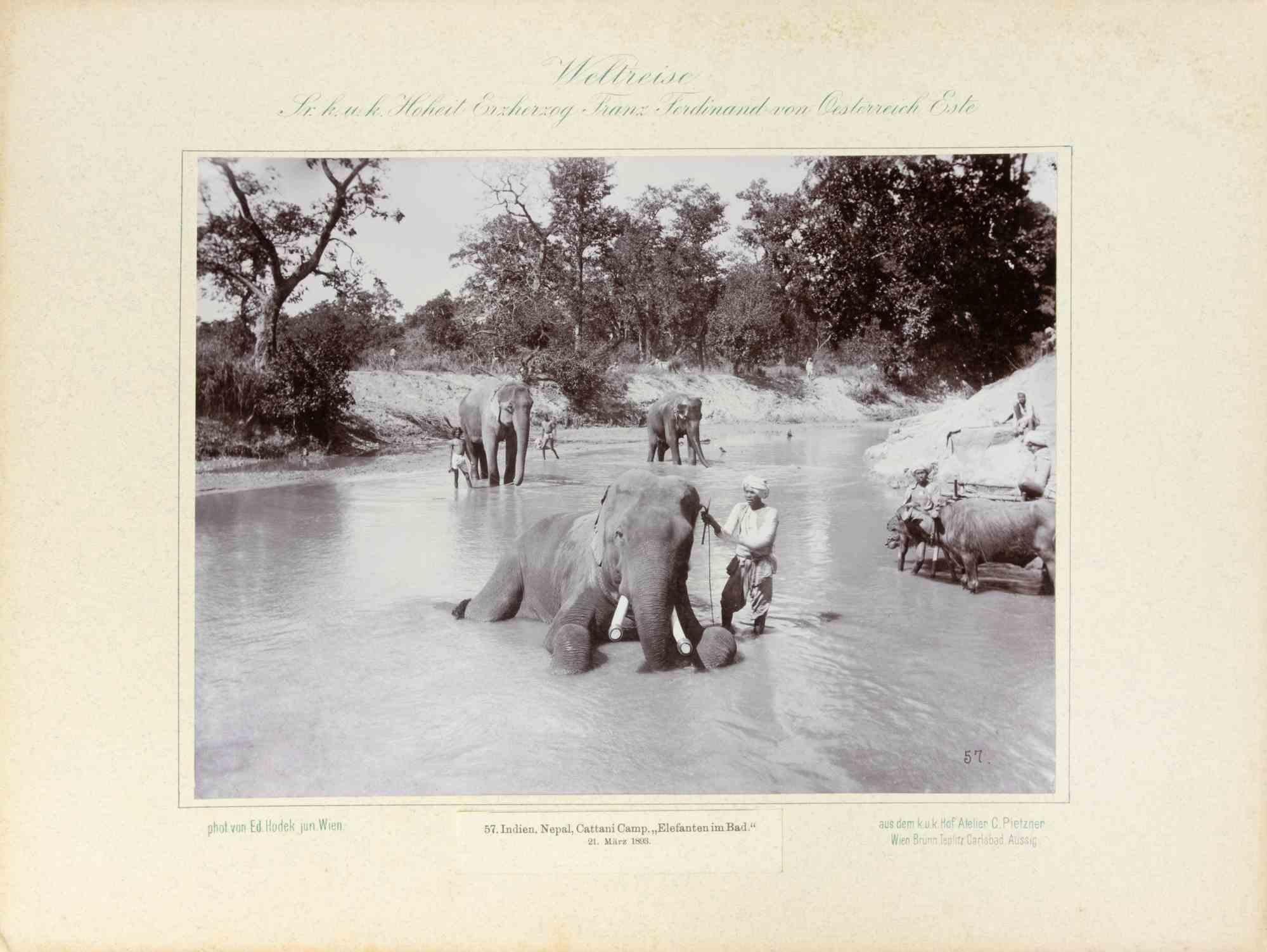 Unknown Landscape Photograph – Indien – Nepal, Cattani- Camp – Vintage-Fotografie – 1893