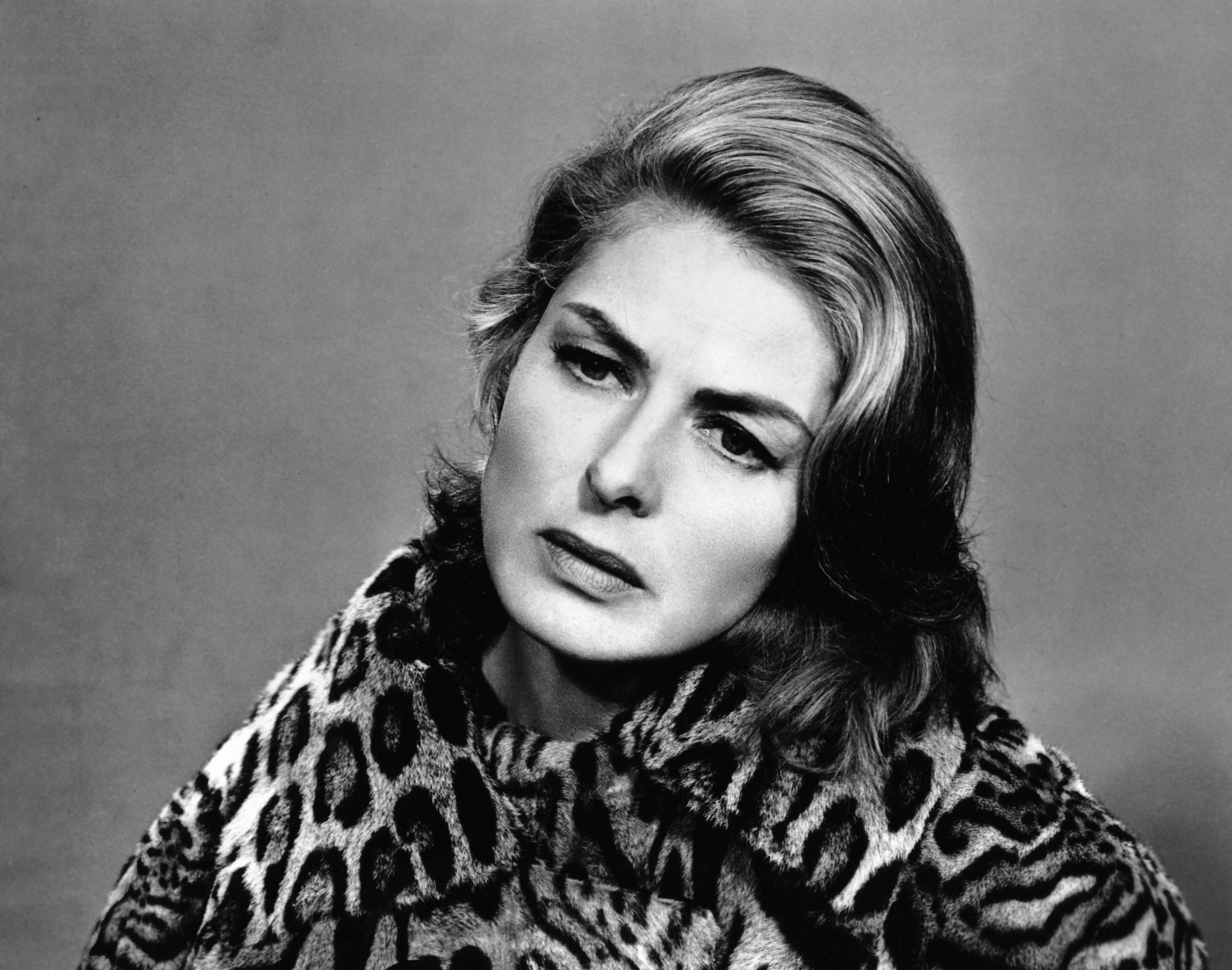 Unknown Black and White Photograph - Ingrid Bergman in Leopard Globe Photos Fine Art Print