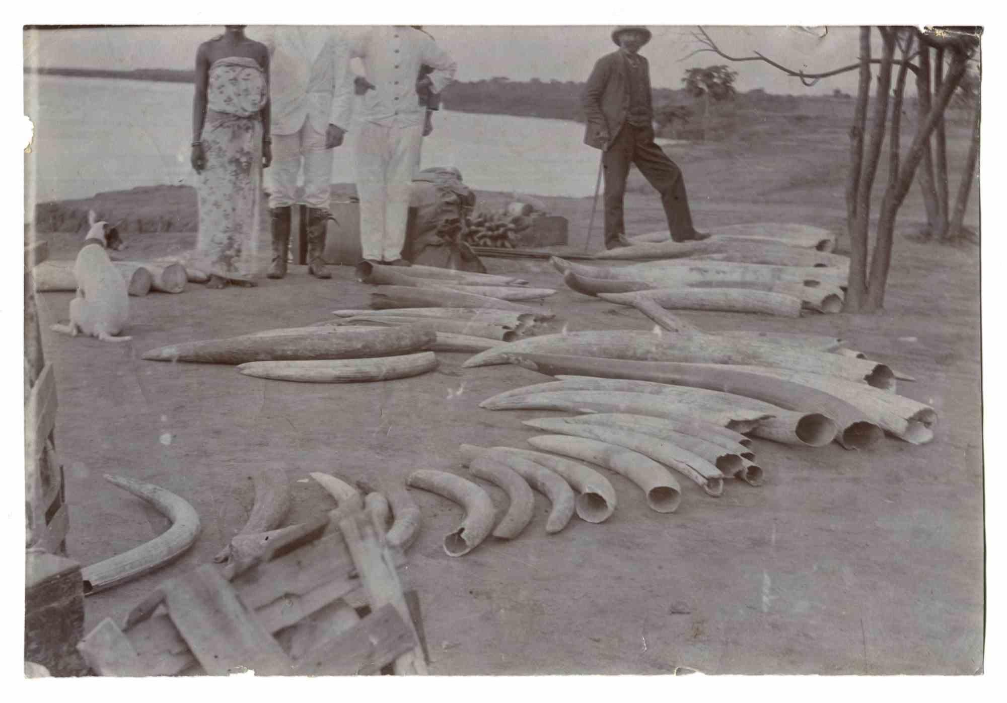 Commercianti di avorio in Sudan - Foto d'epoca - Primi anni del XX secolo