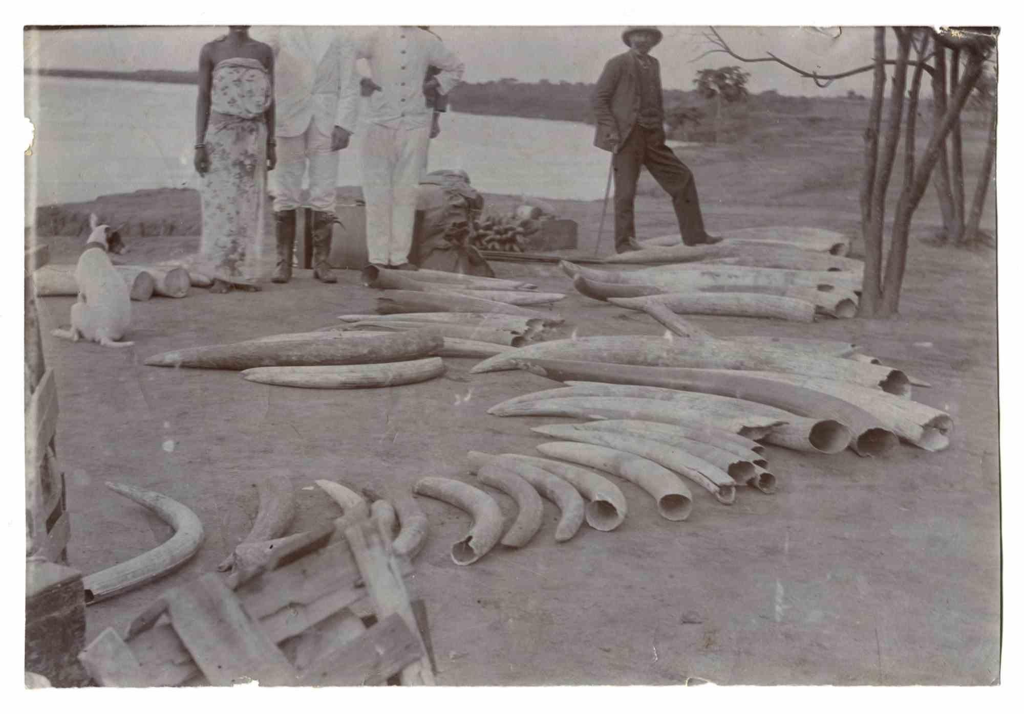 Ivory Traders in Sudan - Vintage Photo - Early 20th Century