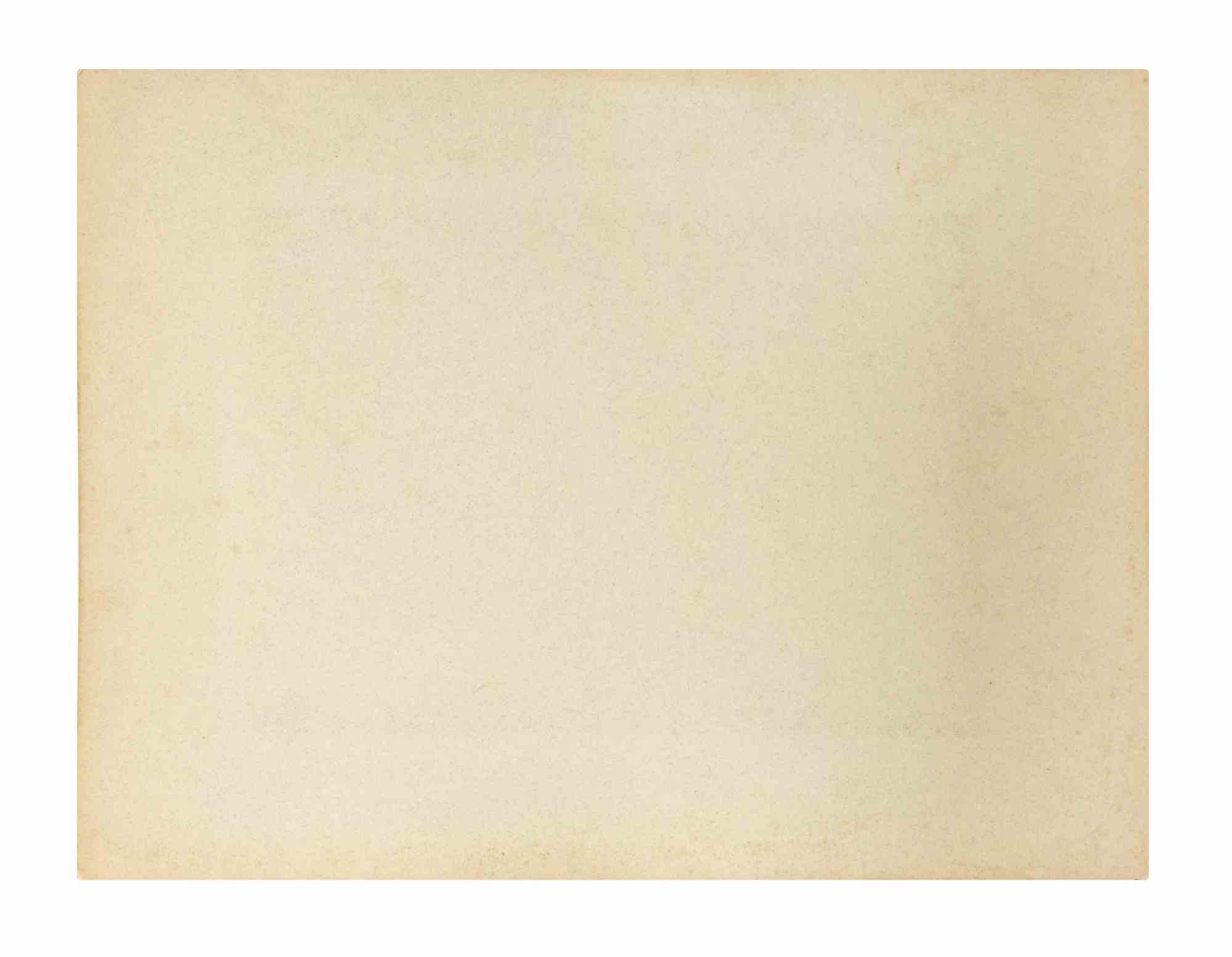 Japan - Der Gipfel des Fugjiama - Vintage Photograph - 1893 - Beige Landscape Photograph by Unknown