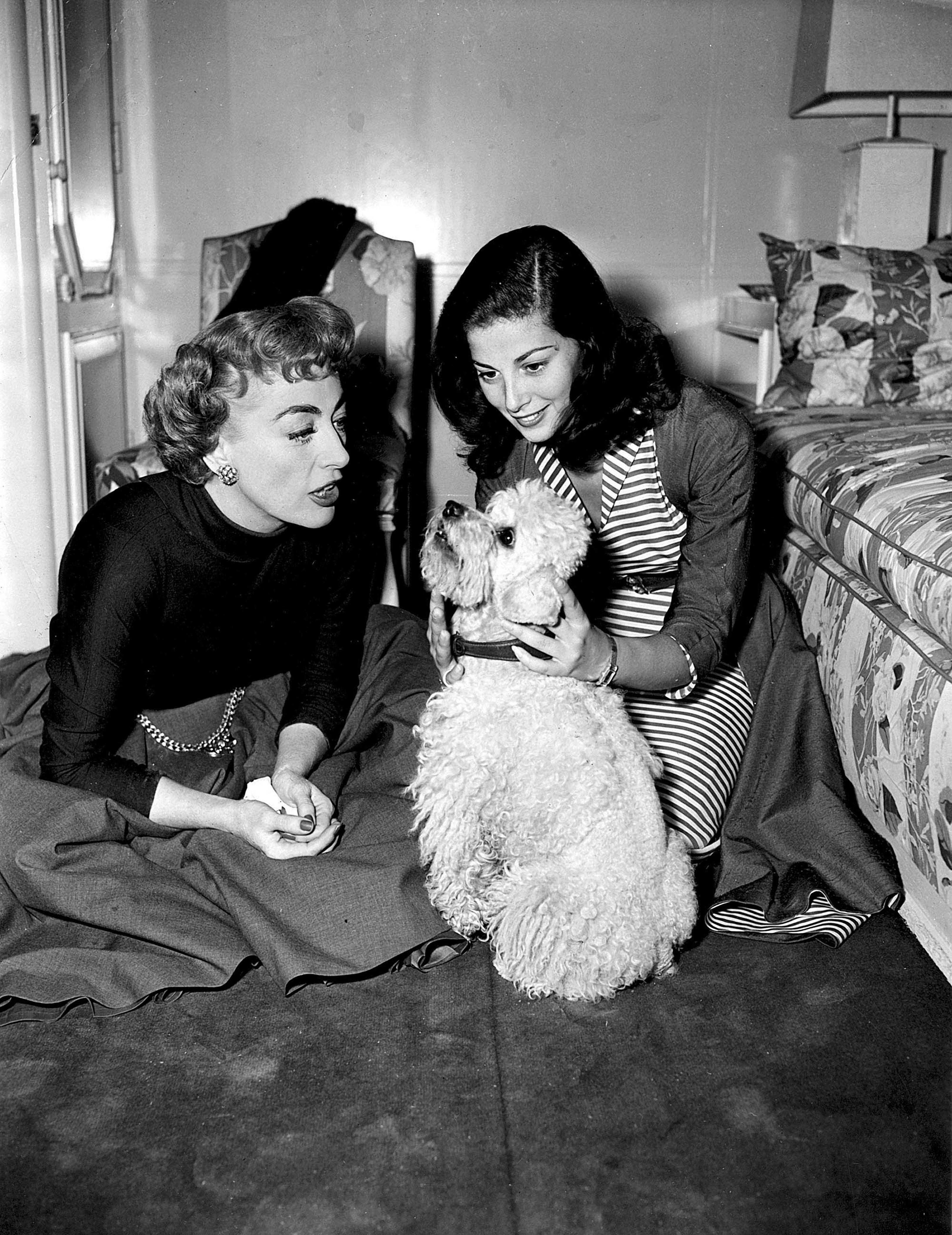 Unknown Portrait Photograph - Joan Crawford and Pier Angeli with Dog