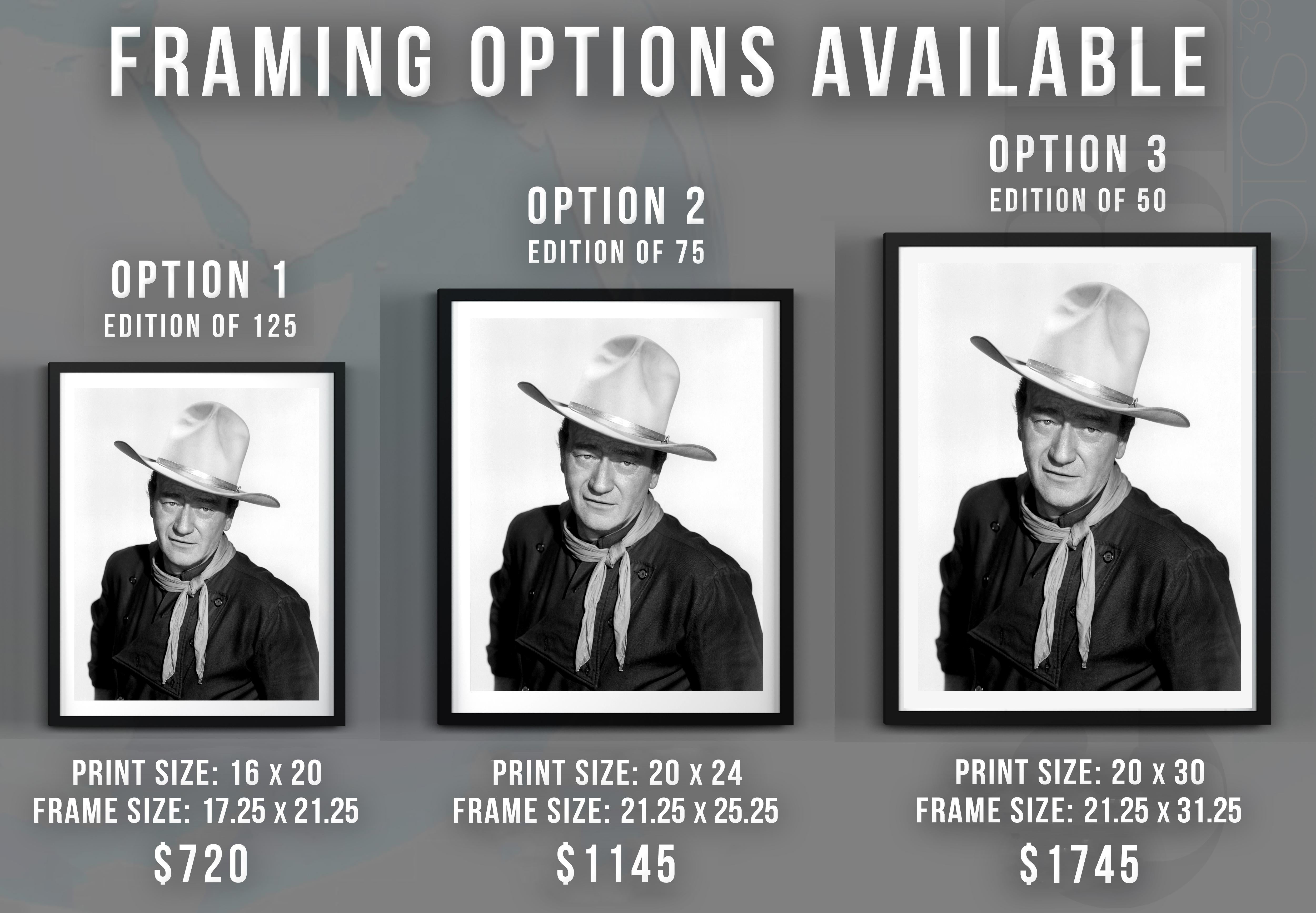 the man who shot liberty valance prints