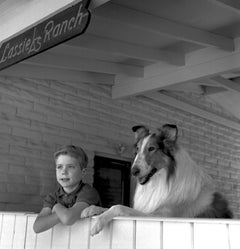 Jon Provost et Lassie