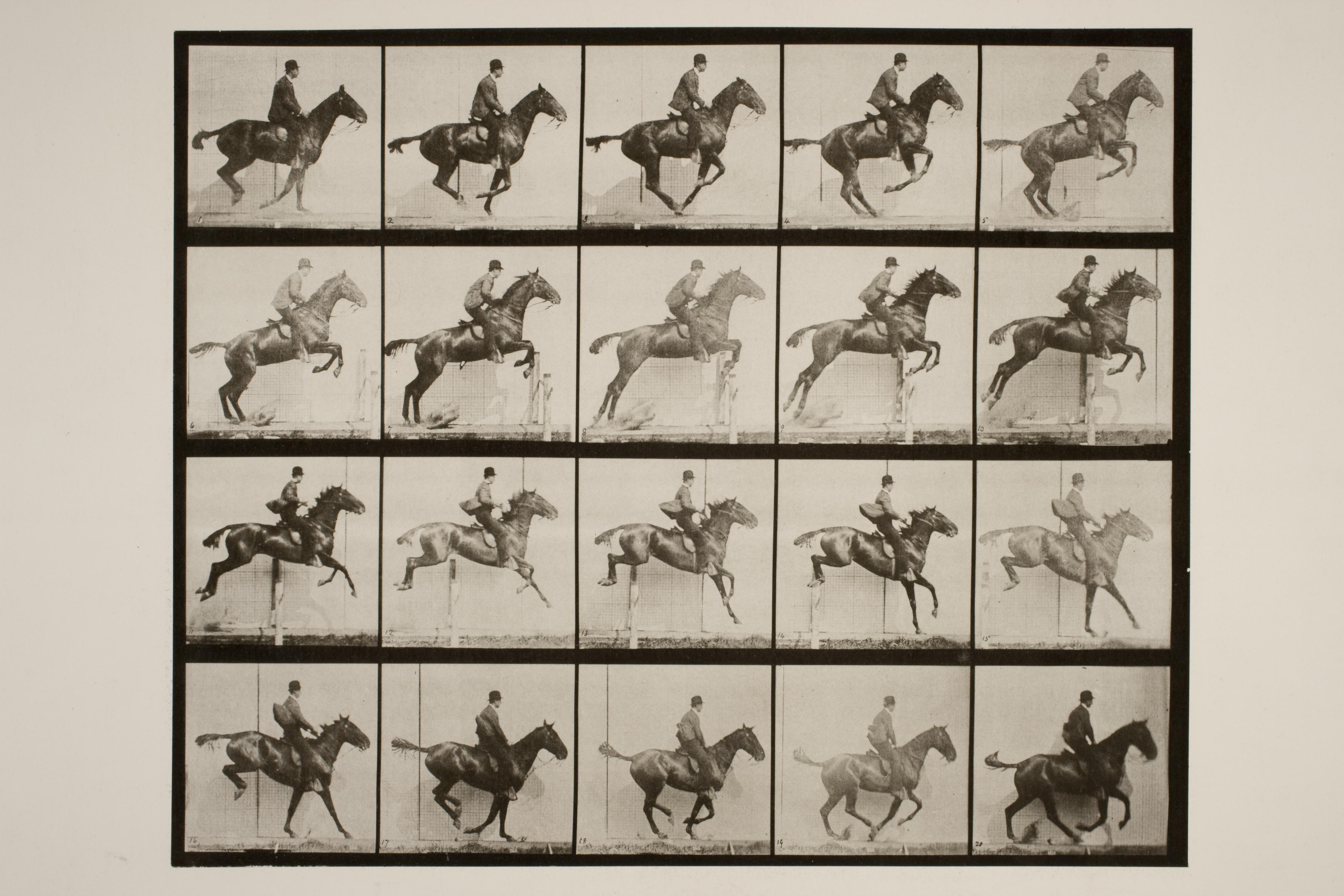 Unknown Portrait Photograph – Jumping A Hurdle (1886) - Silberner Gelatinesfaserdruck