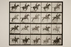 Jumping A Hurdle (1886) - Silver Gelatin Fibre Print