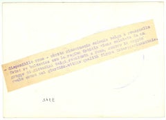 King Baldovino and Queen Fabiola - Vintage Photo - 1950s