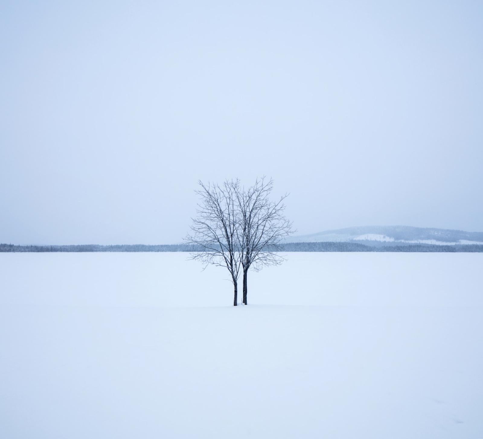 Landscape Photograph di Unknown - "Laponie, Suede Lofoten", fotografia di Mikael Lafontan (36x44in), 2016