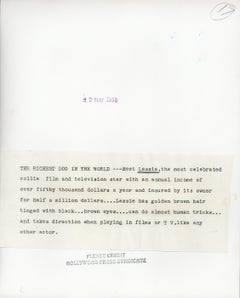 Lassie: the Most Celebrated Collie in Film Vintage Original Photograph