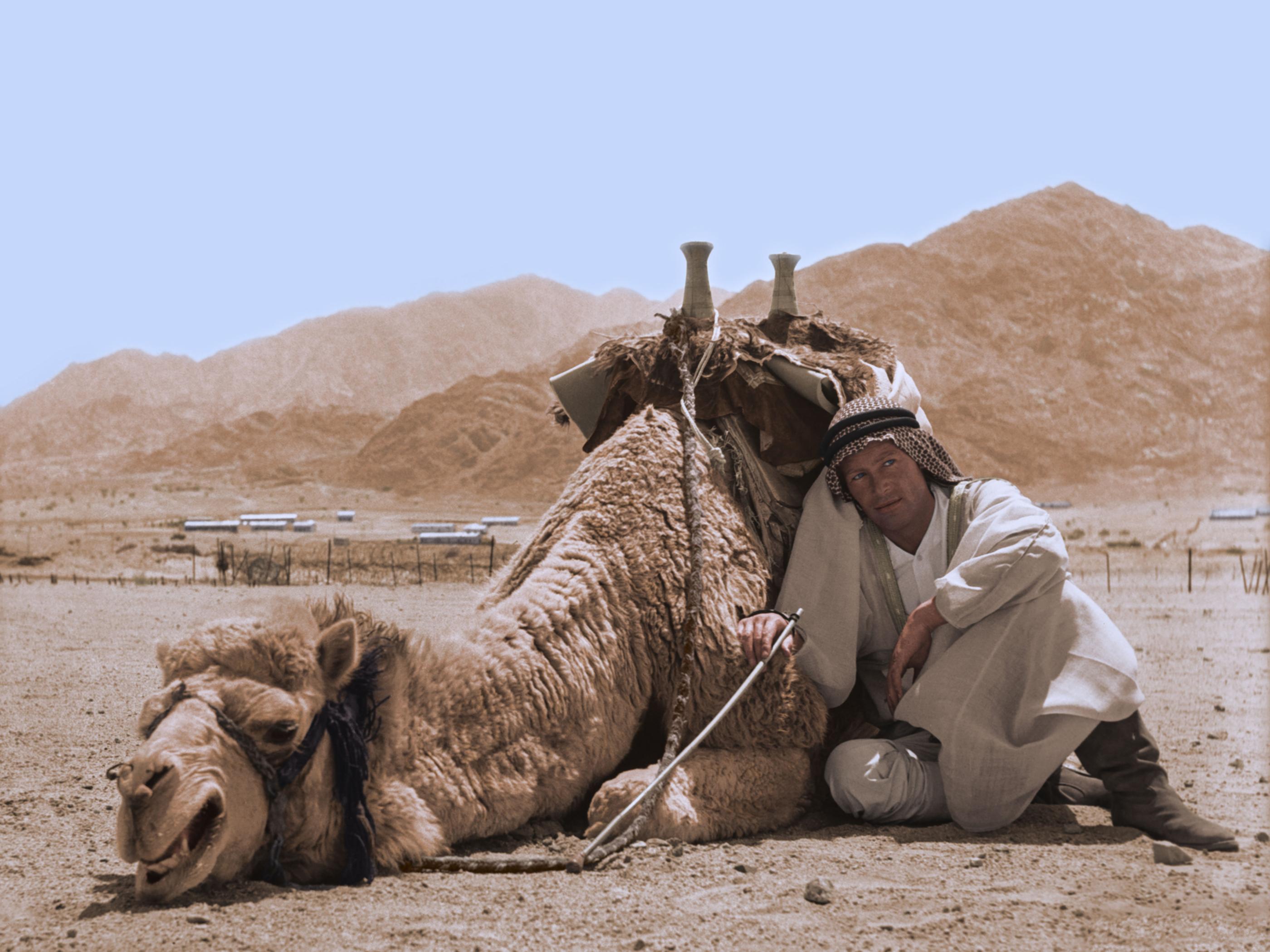 Color Photograph Unknown - Scène du chameau de Lawrence d'Arabie