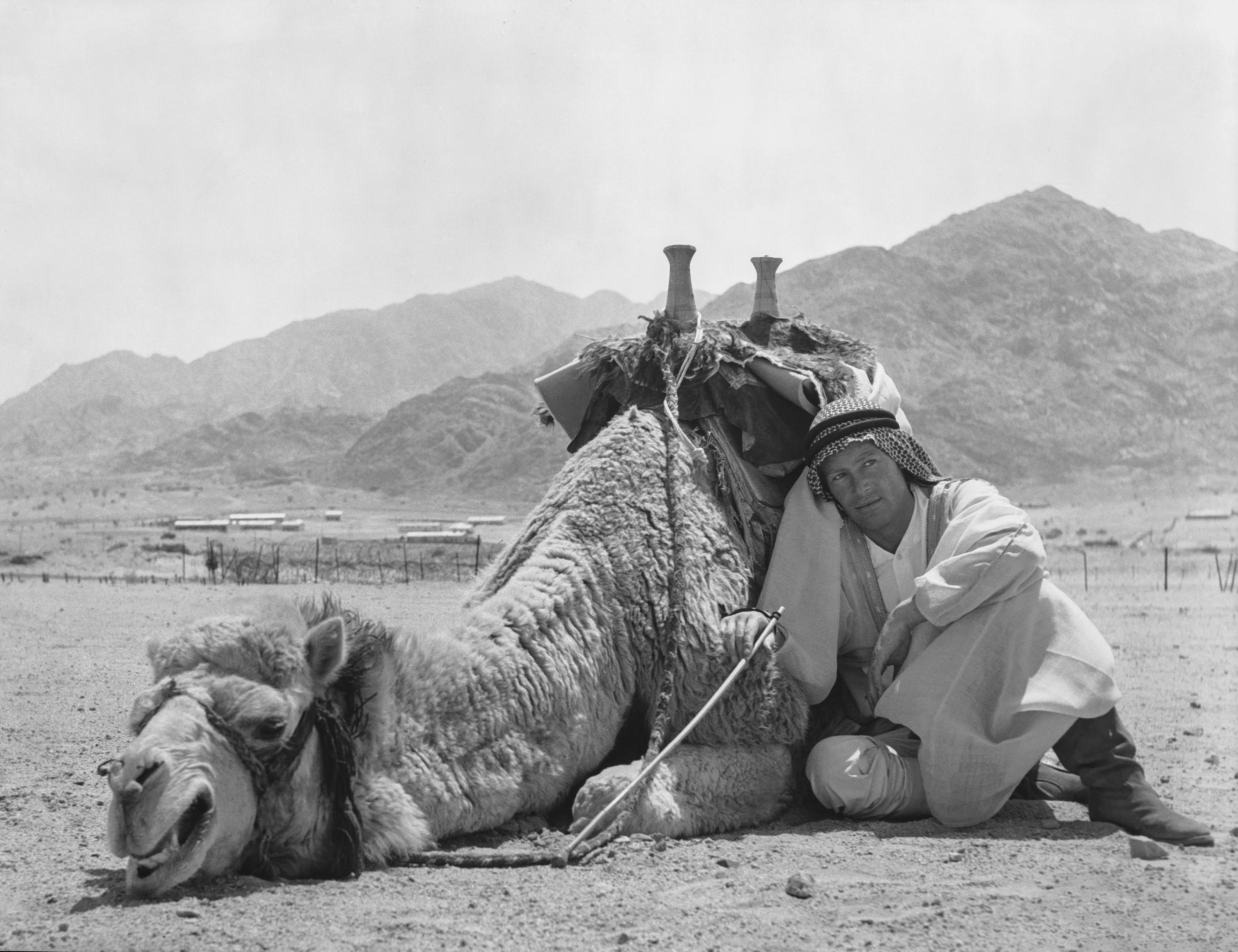 Unknown Black and White Photograph - Lawrence of Arabia Camel Scene
