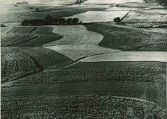 Leadership in der landwirtschaftlichen Produktion – Vintage-Fotografie – Mitte des 20. Jahrhunderts