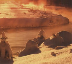 Leutasch, Tyrol Offset Print, Contemporary Art, 2000-2009, Unframed