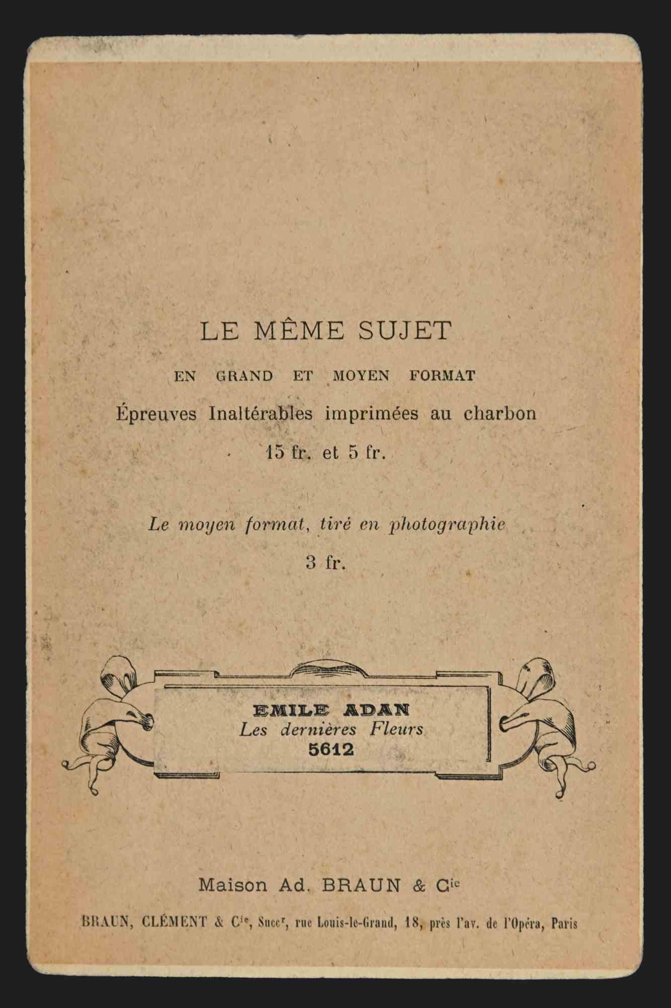 M. Dumas - Fotografía - Siglo XIX - Photograph de Unknown