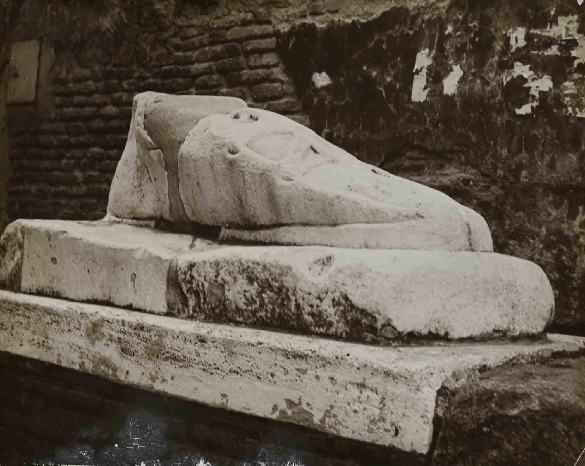 Unknown Landscape Photograph - Marble Foot - Vintage Photo - Mid-20th Century