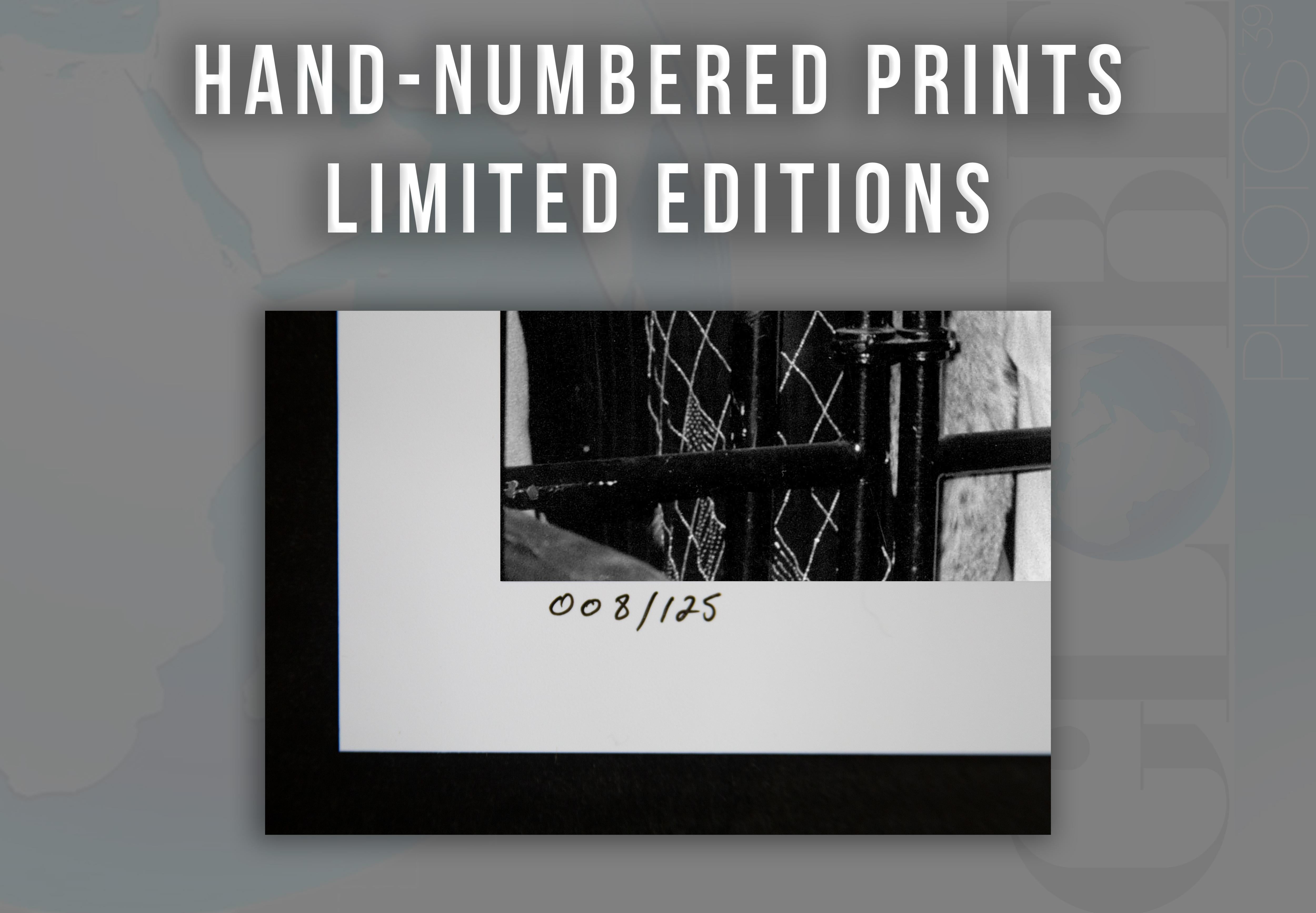 studio 54 prints
