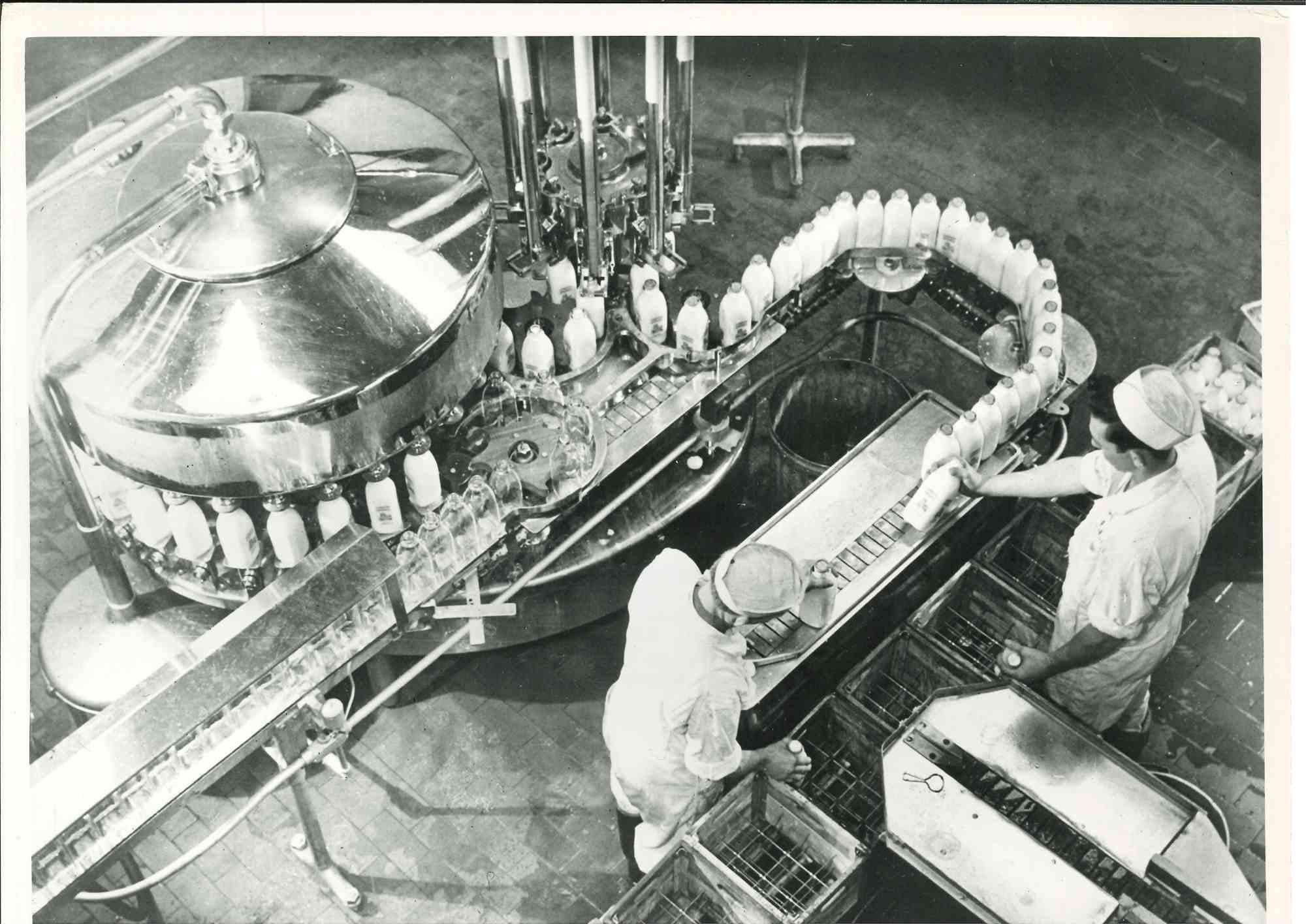 Distribution von Milch  Amerikanische Vintage-Fotografie – Mitte des 20. Jahrhunderts