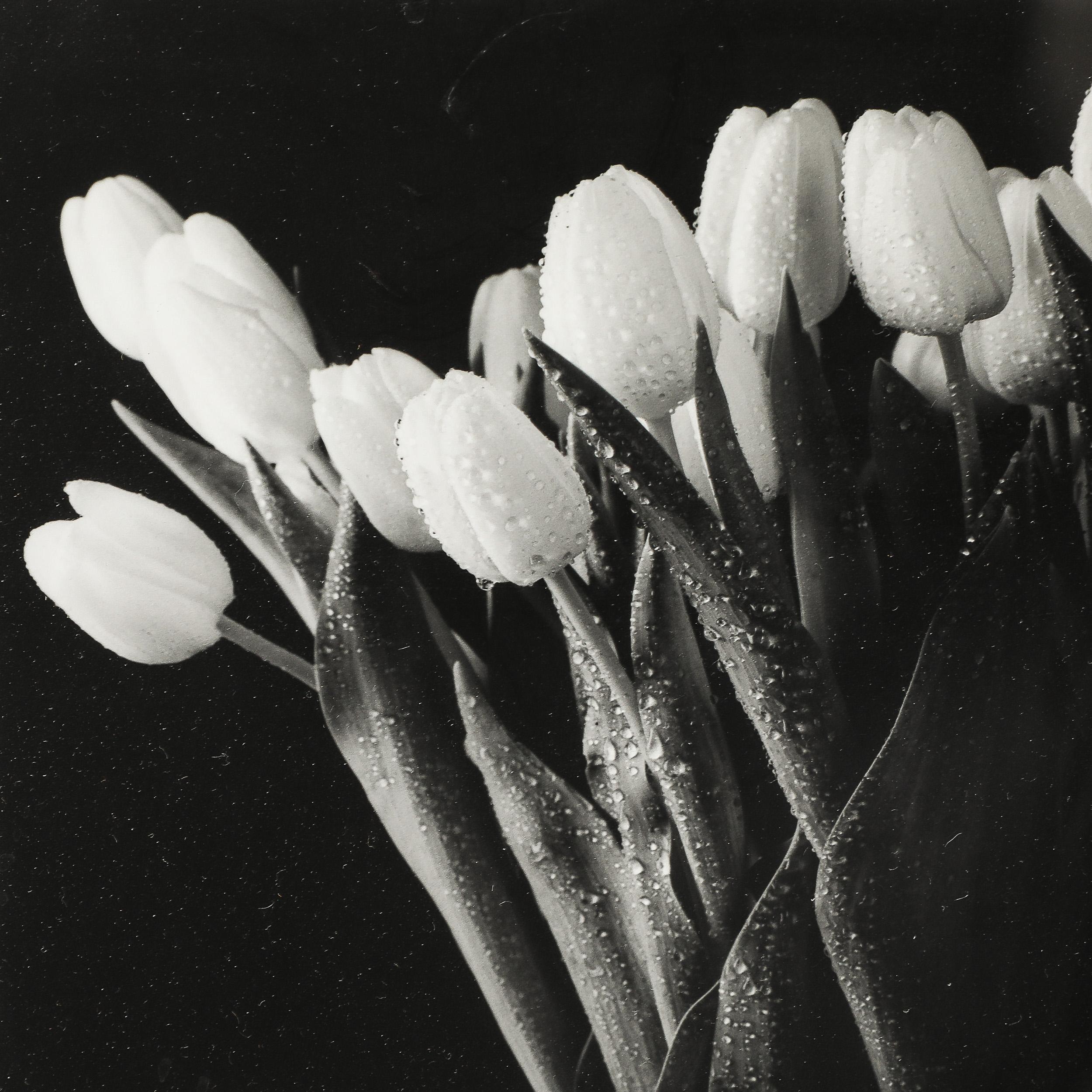 Fotografia modernista di natura morta in bianco e nero con tulipani in vendita 2