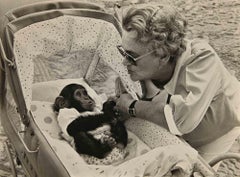 Monkey in Cradle - Photograph - 1960s