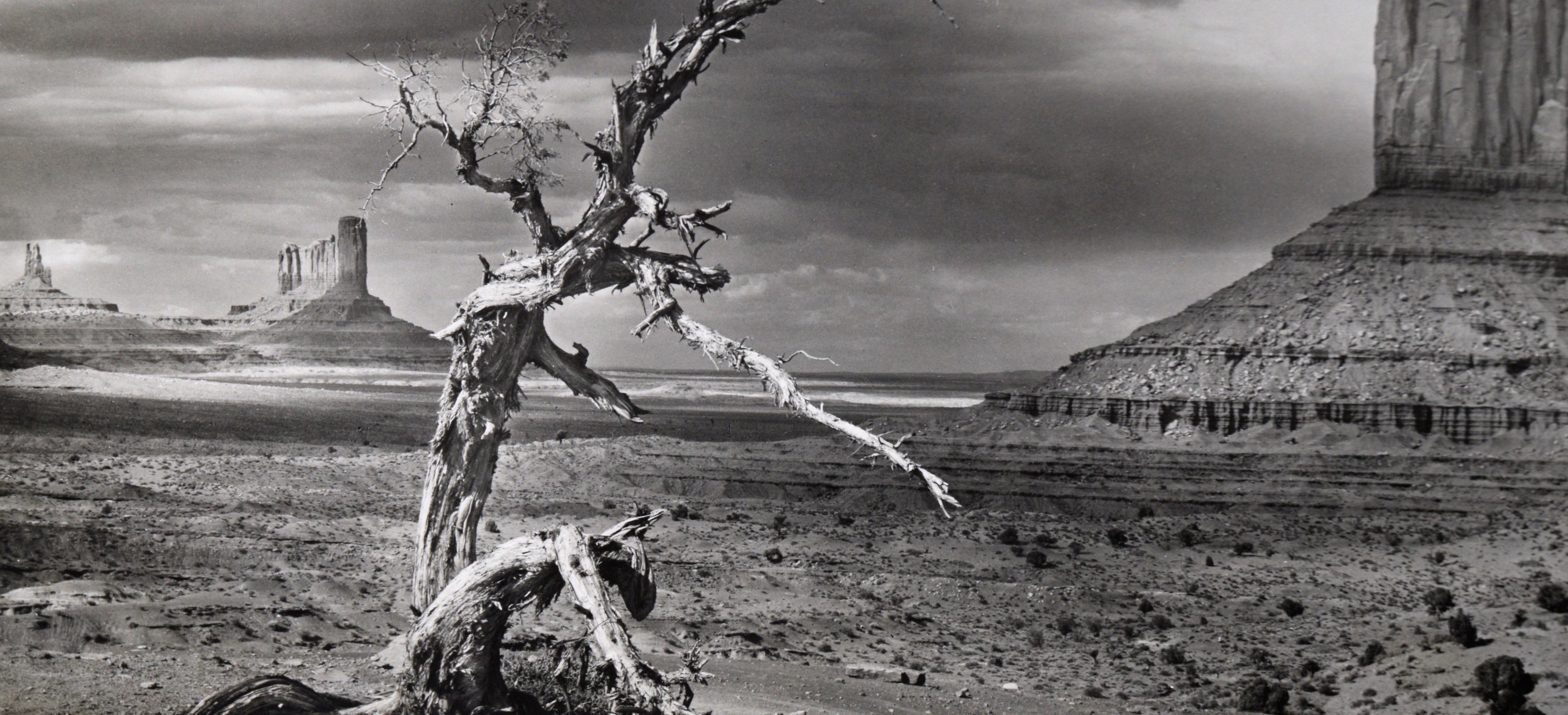 Schwarz-Weiß-Fotografie „Monument Valley“

Atemberaubende Fotografie des Monument Valley, Utah, von einem unbekannten Künstler (20. Jahrhundert). Im Vordergrund steht ein knorriger, abgestorbener Baum, dessen weiße Rinde sich vom dunklen Hintergrund