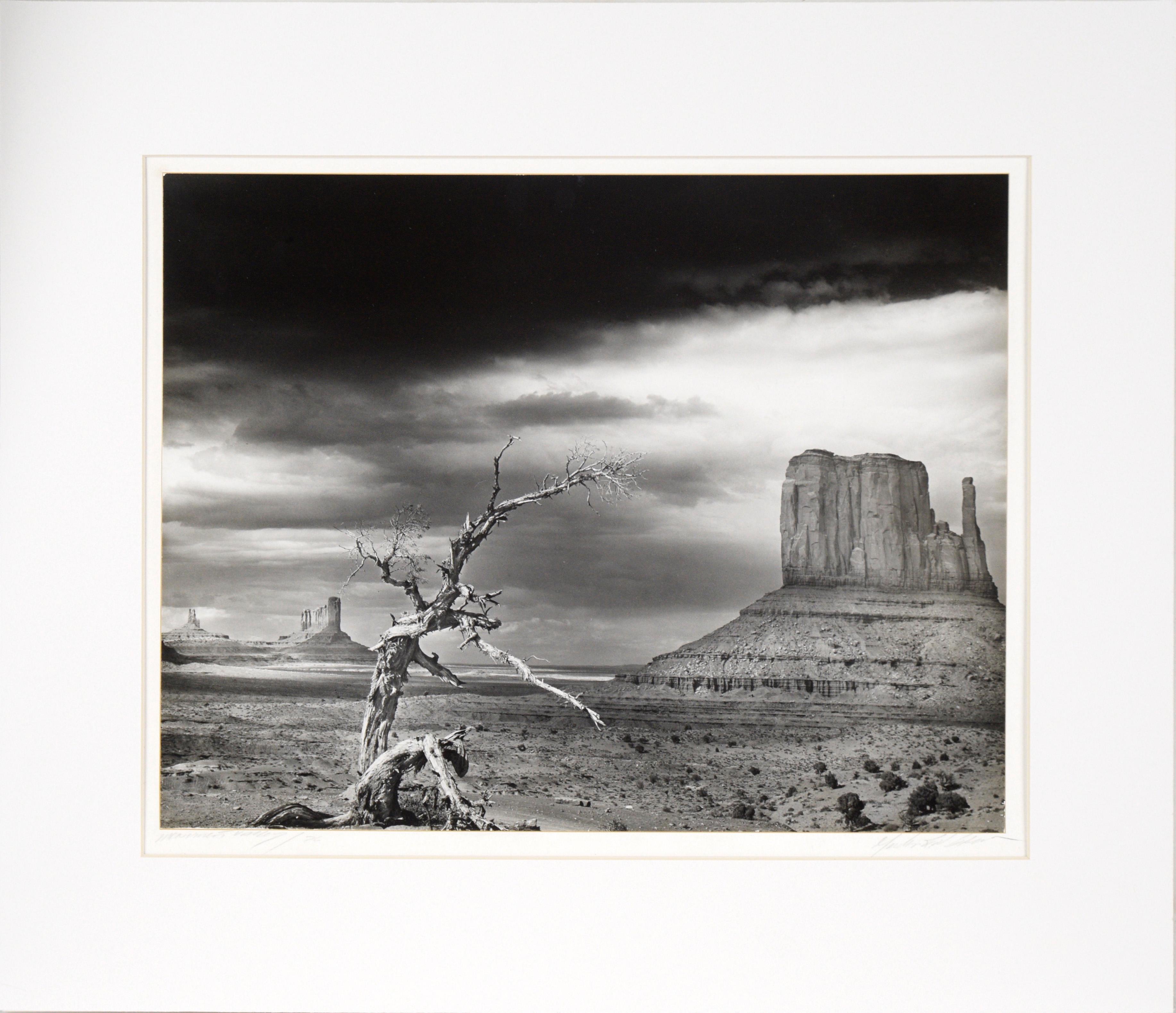 "Monument Valley" Black and White Photograph

Stunning photograph of Monument Valley, Utah, by an unknown artist (20th Century). A gnarled, dead tree is in the foreground, with white bark that stands out against the darker background. The iconic