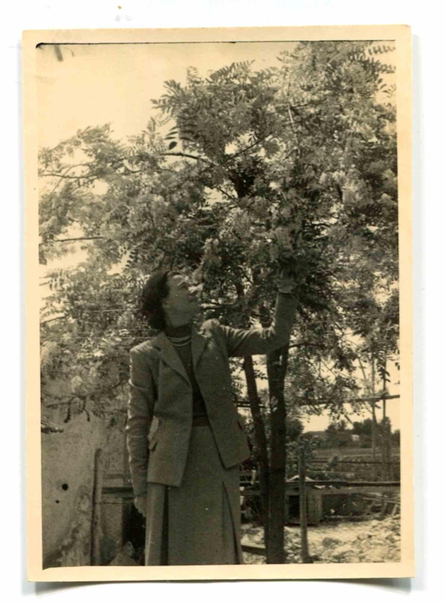 Unknown Figurative Photograph – Mrs. Gilles – Vintage-Foto – frühes 20. Jahrhundert