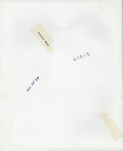 Natalie Wood Classical Smiling Portrait Vintage Original Photograph