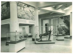 Natural History Museum – Vintage-Foto – 1960er Jahre