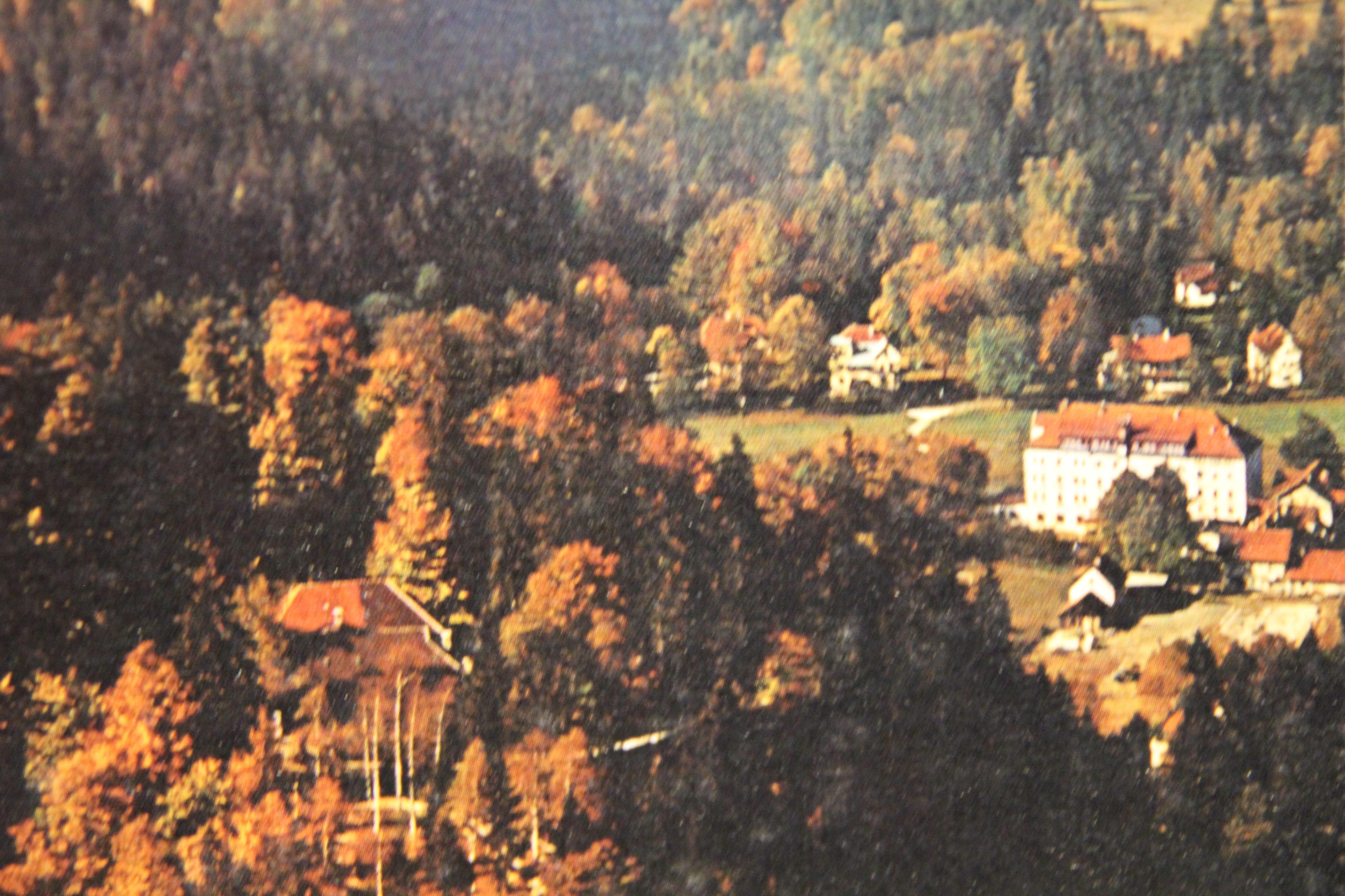bavarian castles for sale