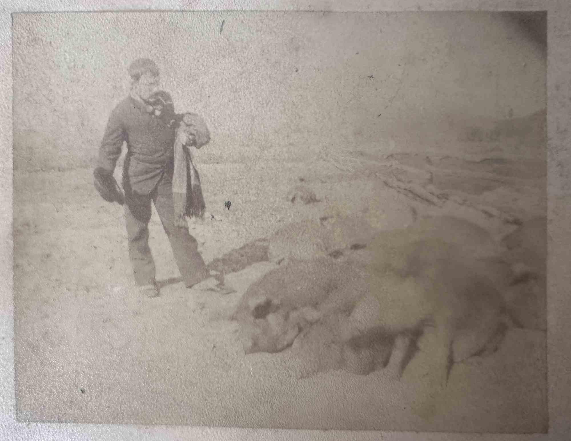 Unknown Figurative Photograph - Old Days - Animals - Vintage Photo - Early 20th Century