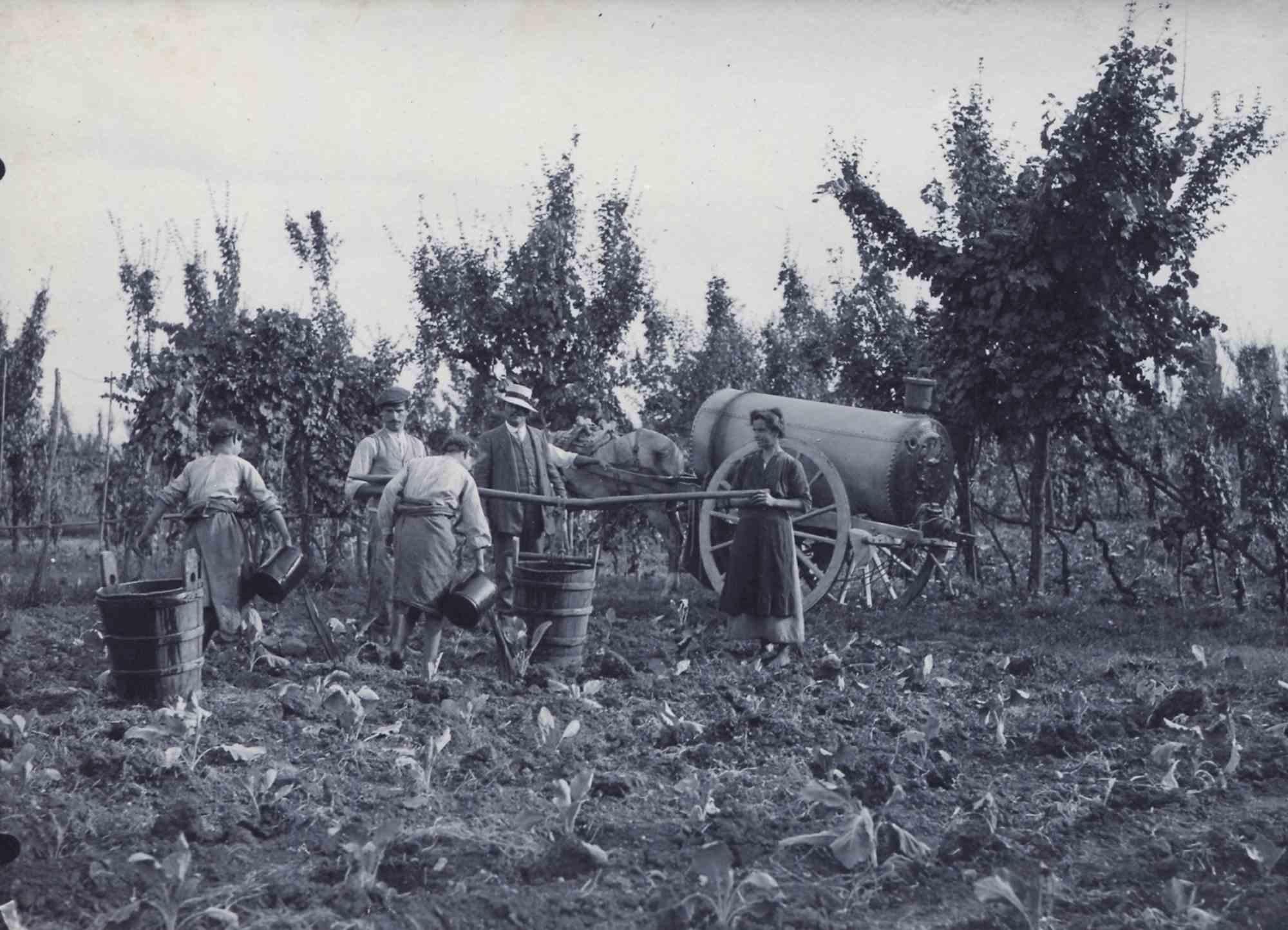 Unknown Figurative Photograph - Old Days Photo - Farmers - Vintage Photo - Early 20th century