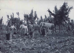 Old Days Foto – Bauern – Vintage-Foto – frühes 20. Jahrhundert