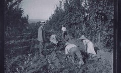 Photo d'antan - Agriculteurs - Photo d'époque - Milieu du 20ème siècle
