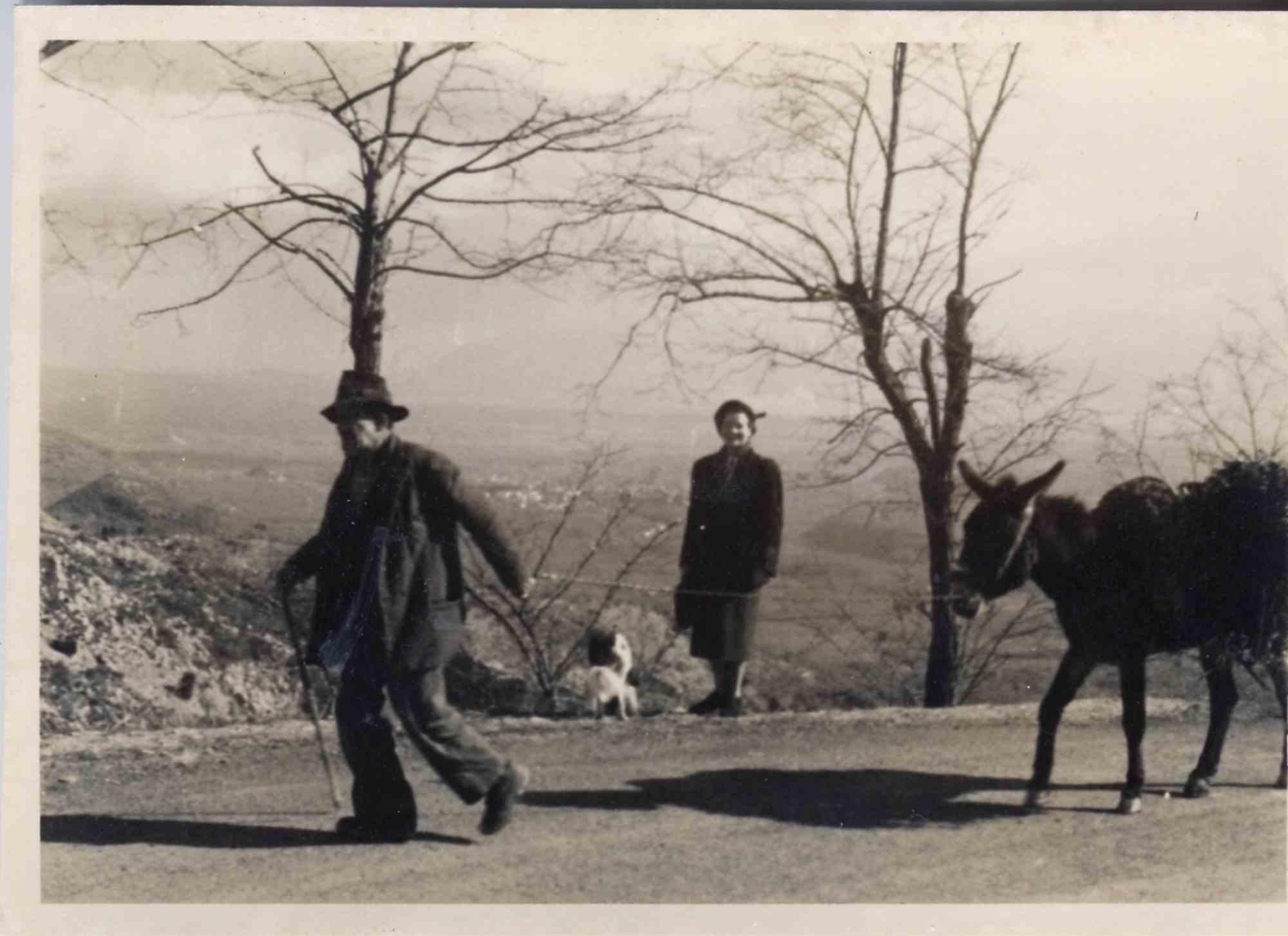 Unknown Landscape Photograph – Alte Tage Foto - In der Natur - Vintage Foto - Anfang 20. Jahrhundert