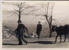 Old days Photo - In the Nature - Vintage Photo - Early 20th Century