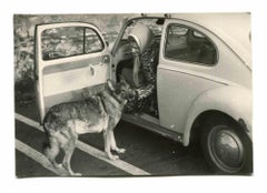 Old Days – Porträt von M.Me Gilles mit ihrem Hund – Mitte des 20. Jahrhunderts 