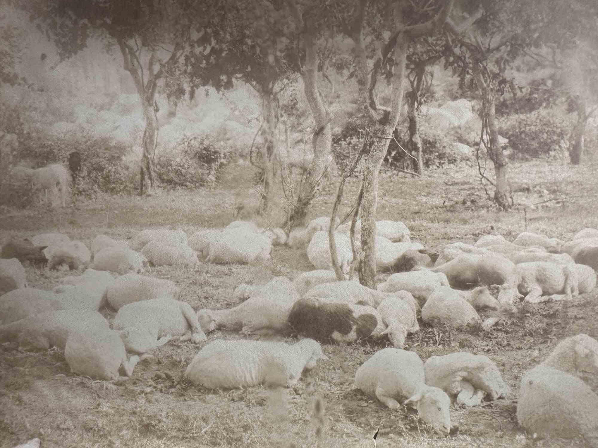 Unknown Figurative Photograph - Old Days - Sheets - Photograph -  Early 20th Century