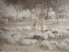 Old Days - Sheets - Photograph -  Early 20th Century