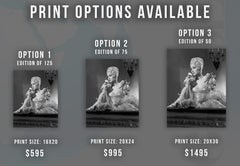 Olivia de Havilland with Flowers Movie Star News Fine Art Print