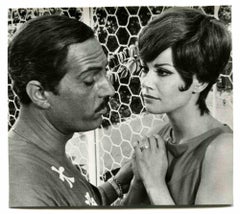 Vintage Photo of Nino Manfredi  and Senta Berger- Photo - 1960s