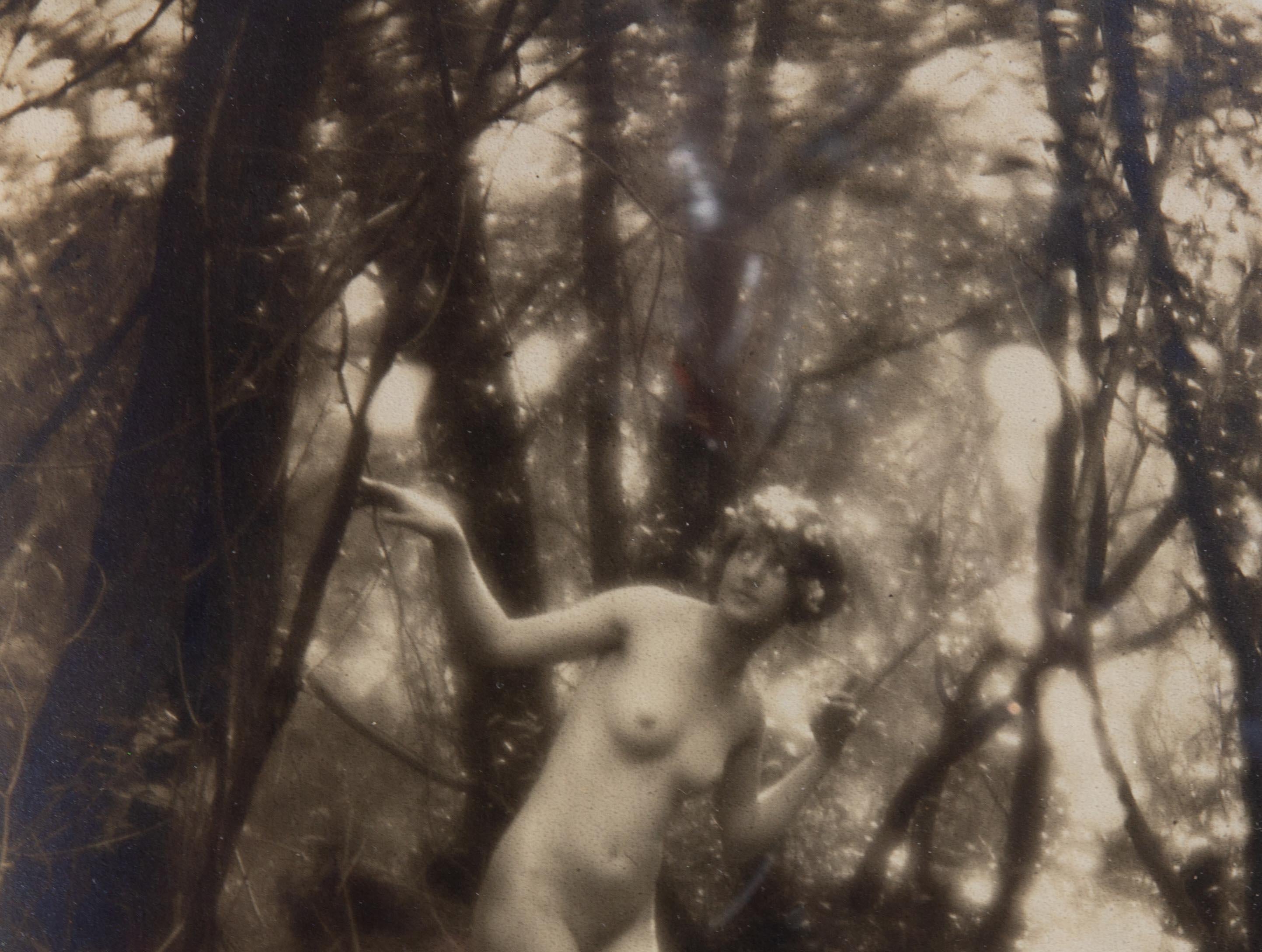 Nudefarbene Nymphe von Charles Cook aus Holz von Charles Cook, um 1910, Viktorianische Fotografie – Photograph von Unknown