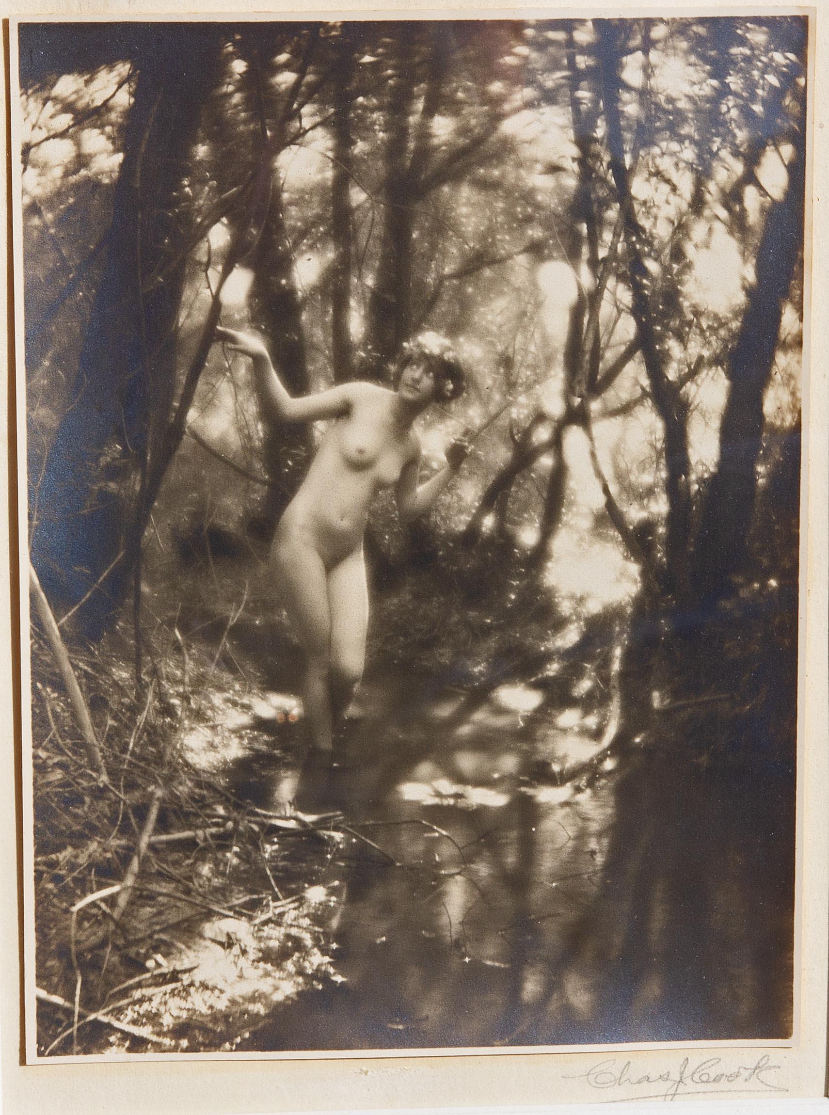 Pictorialist photograph of nude woman in a forest interior by Charles Cook. Silver print. Um 1910.

Charles J. Cook was a painter and photographer who specialized in nudes. He was a resident of Chicago’s Tree Studios building between at least 1908