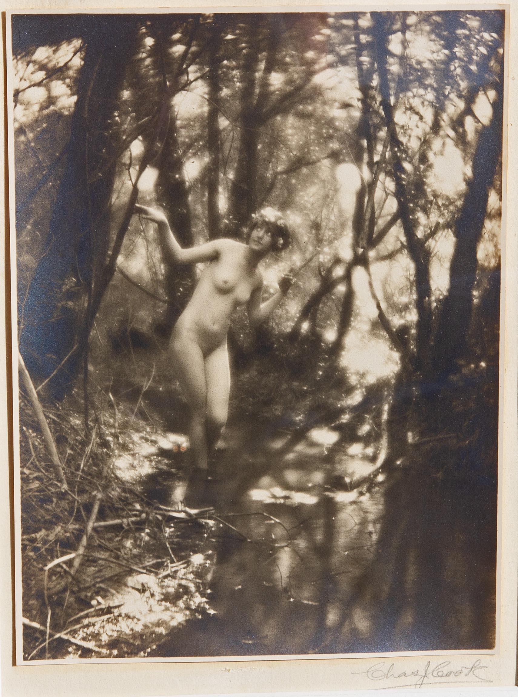 Fotografía pictorialista de mujer desnuda en el interior de un bosque, por Charles Cook. Impresión en plata. Alrededor de 1910.

Charles J. Cook fue un pintor y fotógrafo especializado en desnudos. Fue residente del edificio Tree Studios de Chicago
