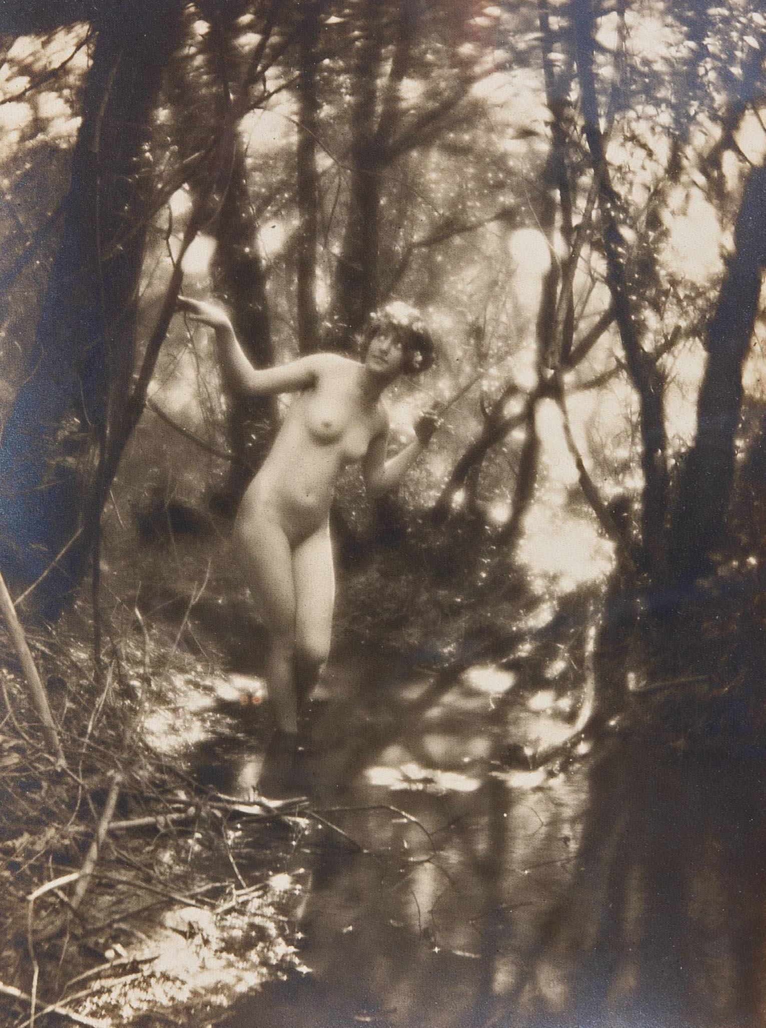 Unknown Nude Photograph – Nudefarbene Nymphe von Charles Cook aus Holz von Charles Cook, um 1910, Viktorianische Fotografie