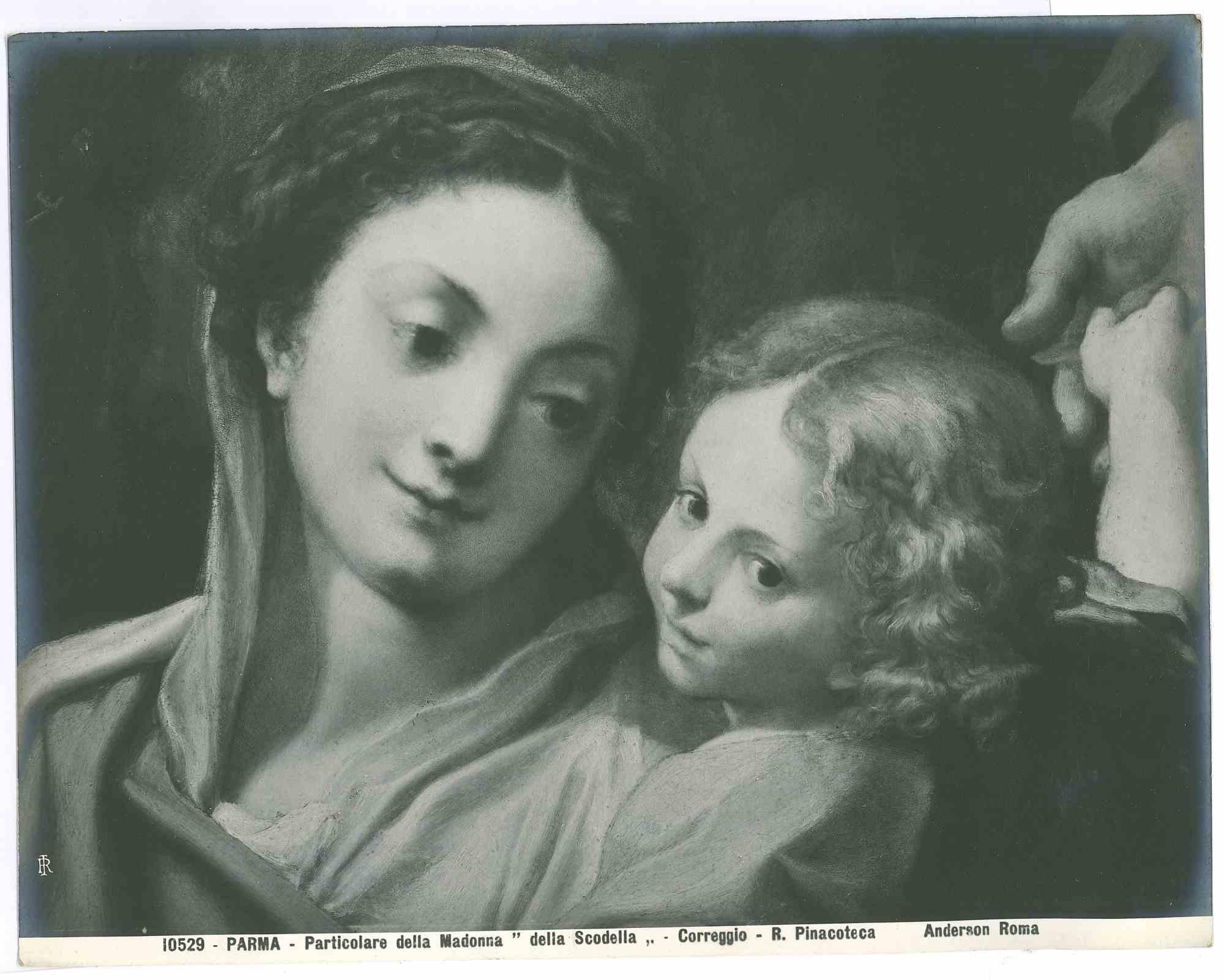 Pinacoteca of Parma - Vintage Photo - Early 20th Century