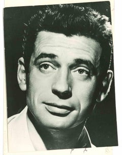 Portrait of Yves Montand - Photo - 1960s