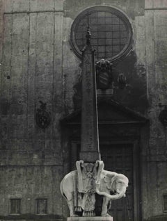 "Pulcino della Minerva" - Vintage Photo - Mid 20th Century