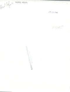 Raquel Welch Pinup in Bodysuit Vintage Original Photograph