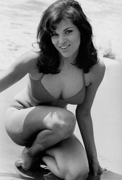 Raquel Welch pose sur la plage