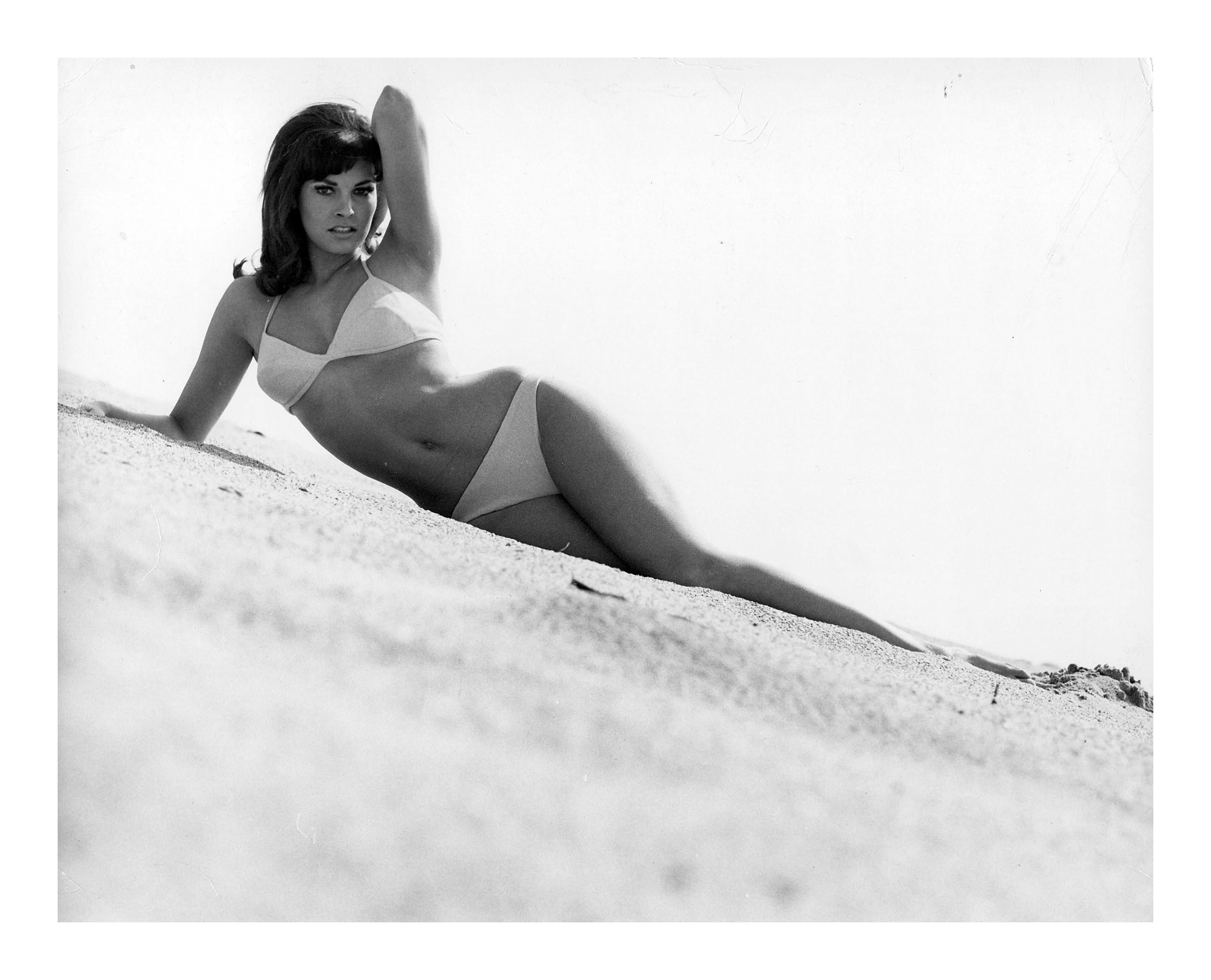 Raquel Welch beim Sonnenbaden (Zeitgenössisch), Photograph, von Unknown